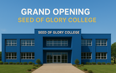 10 Easy steps to more learn about play